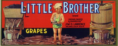 Little Brother